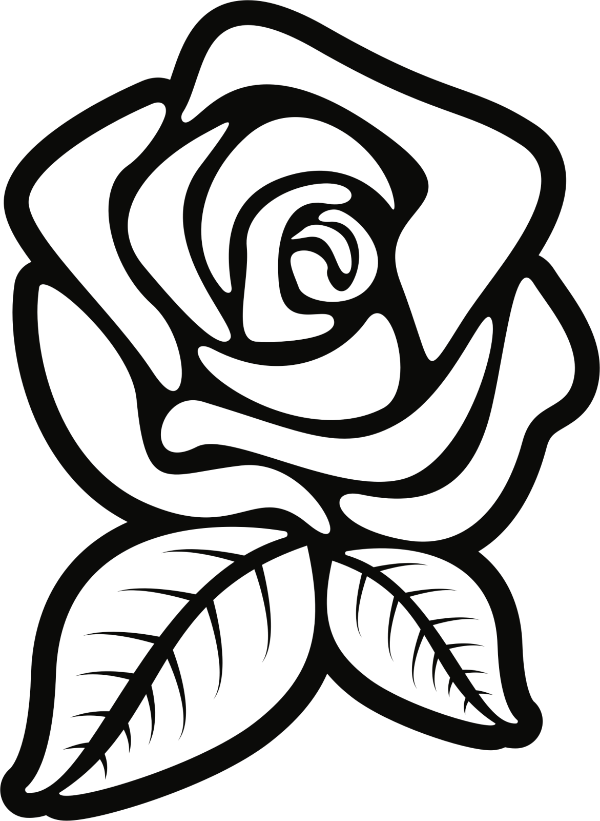 a black and white rose with leaves