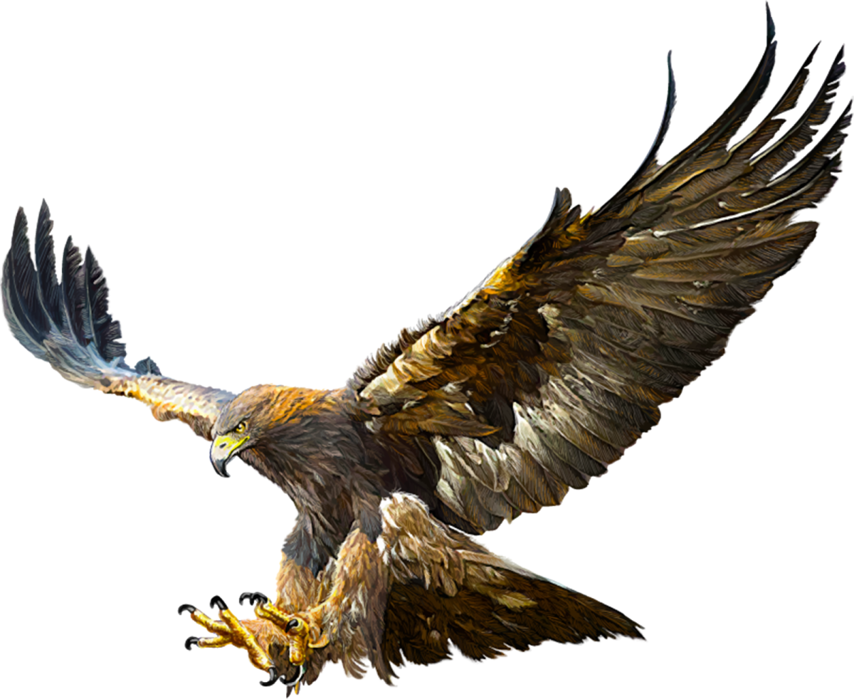 an eagle flying in the air with its wings spread