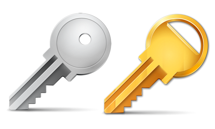 two keys, one silver and the other gold