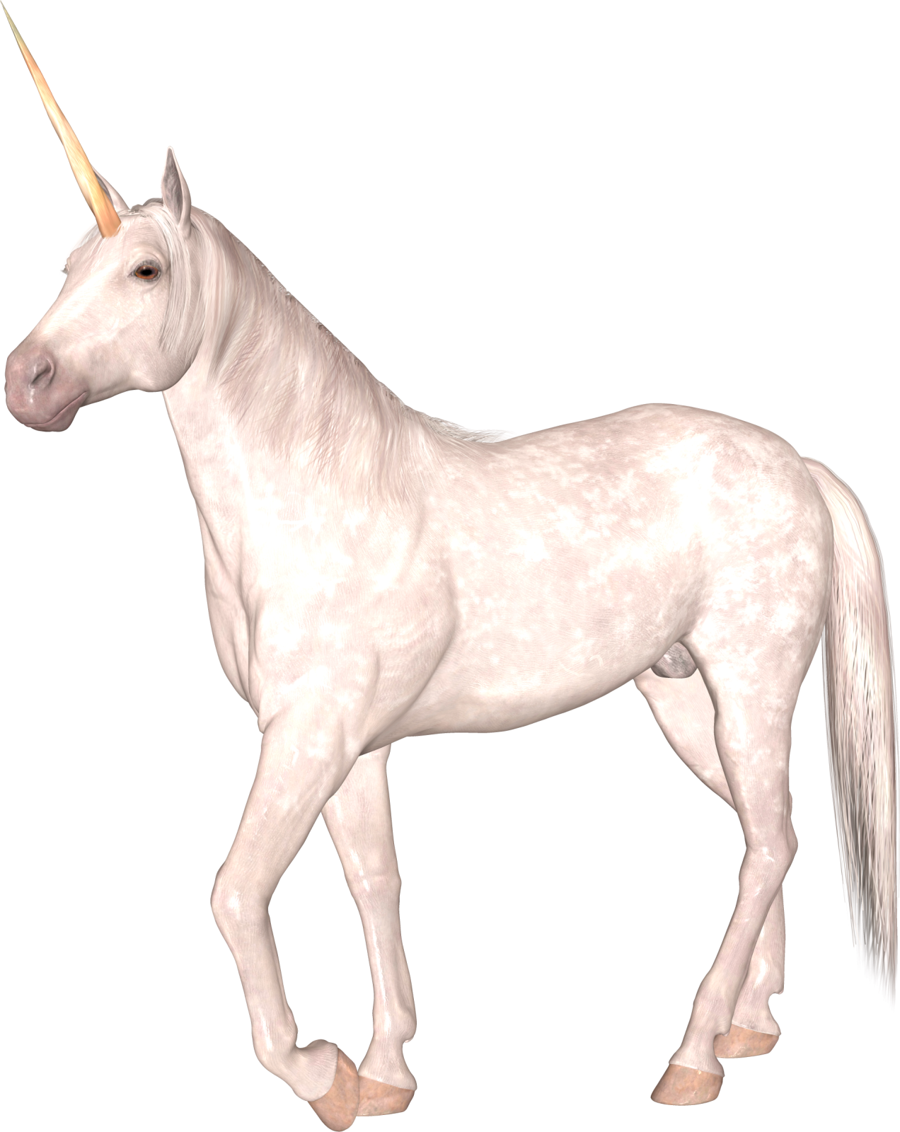 a white unicorn with a golden horn