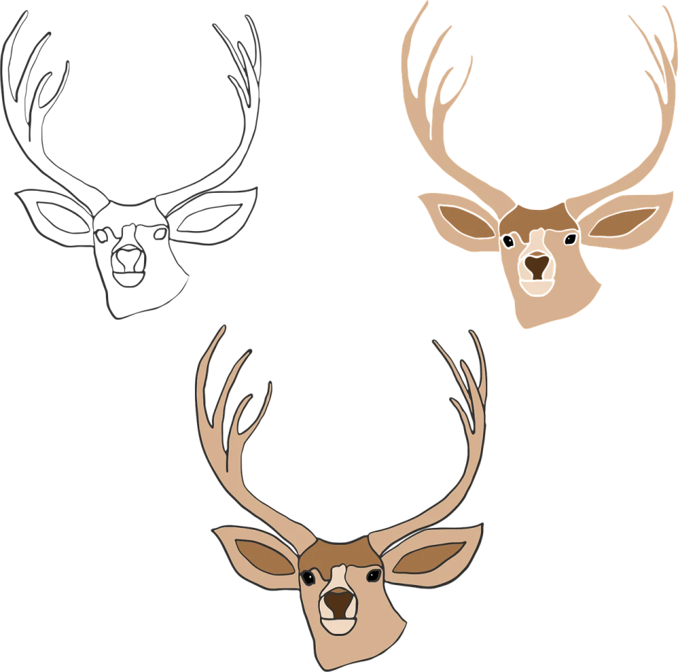 how to draw a deer head