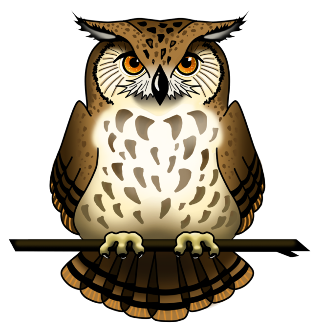 an owl sitting on top of a tree branch