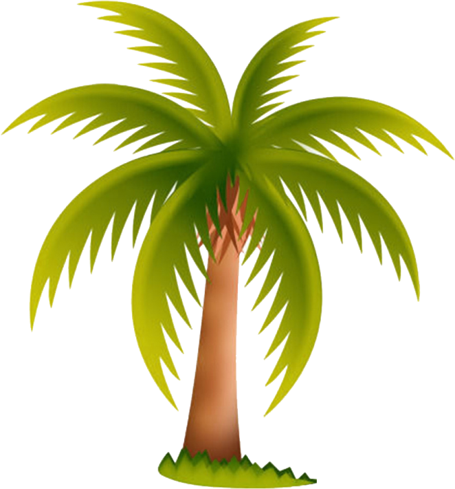 a palm tree with green leaves