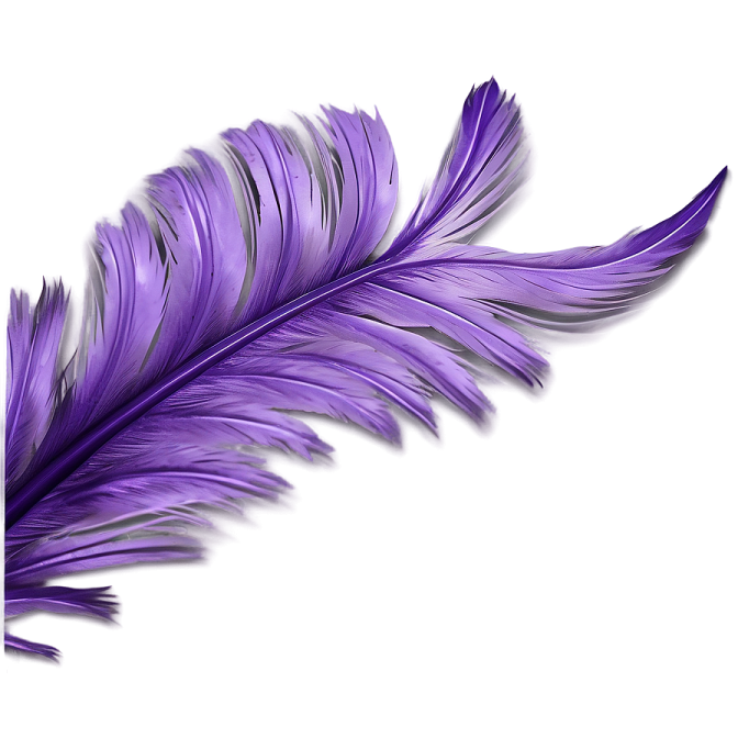 a purple feather on a white background