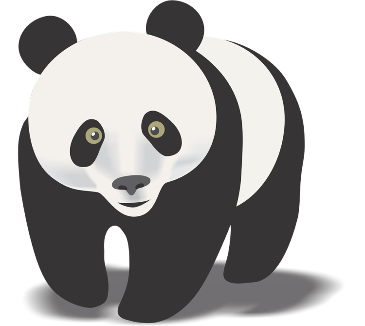 a black and white panda bear with green eyes