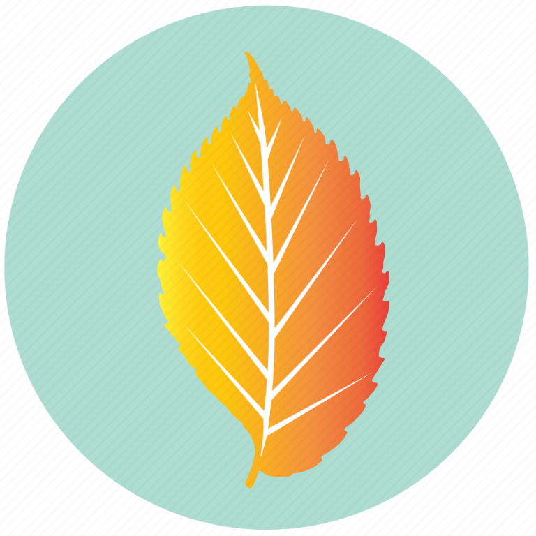 an orange leaf in a blue circle