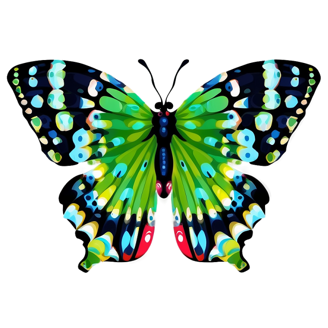a colorful butterfly on a white background