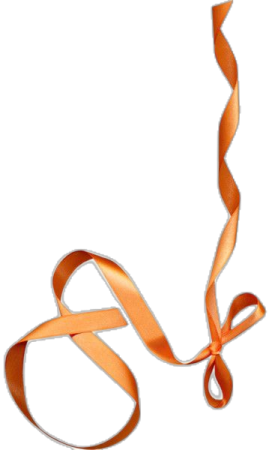 an orange ribbon on a white background