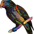 a colorful bird sitting on top of a branch