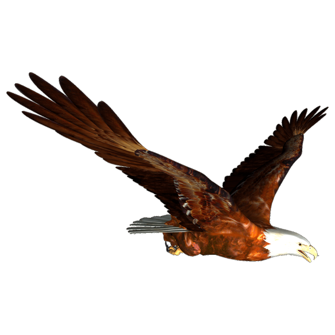 an eagle flying in the air with its wings spread