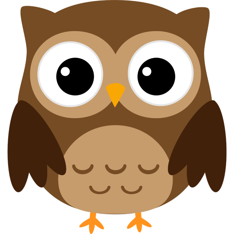 a brown owl with big eyes
