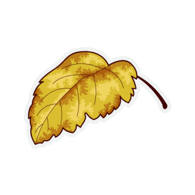 a yellow leaf on a white background