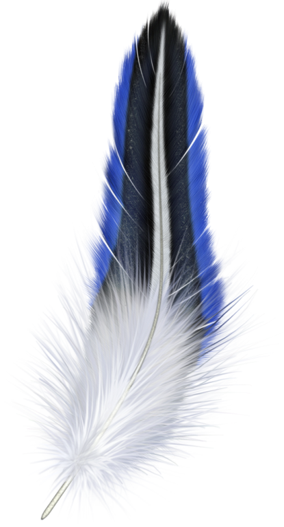a blue and white feather