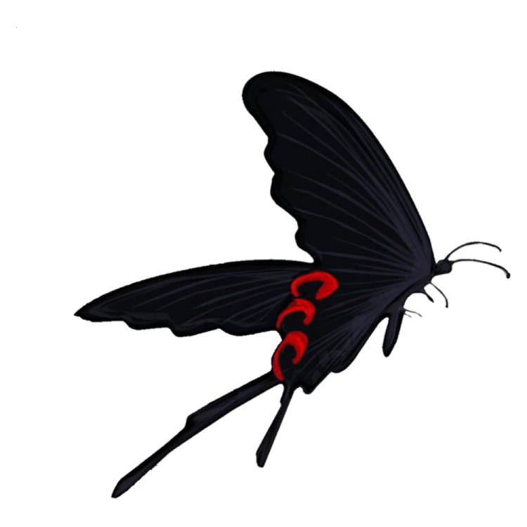 a black butterfly with red spots