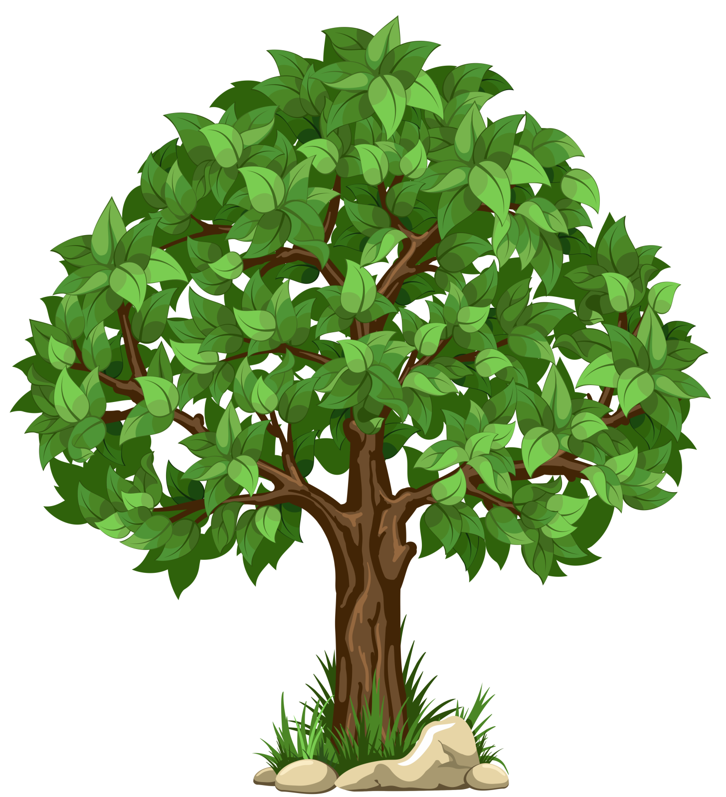 a tree with green leaves on white background