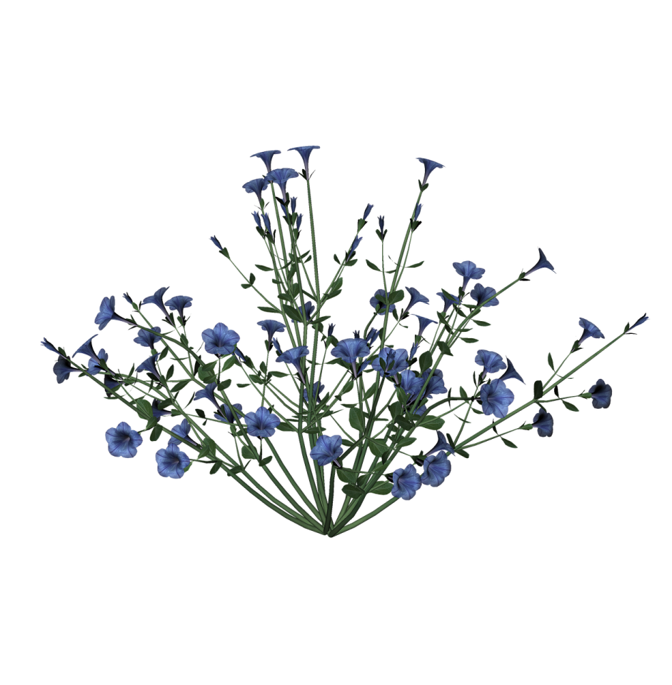 a bunch of blue flowers on a white background