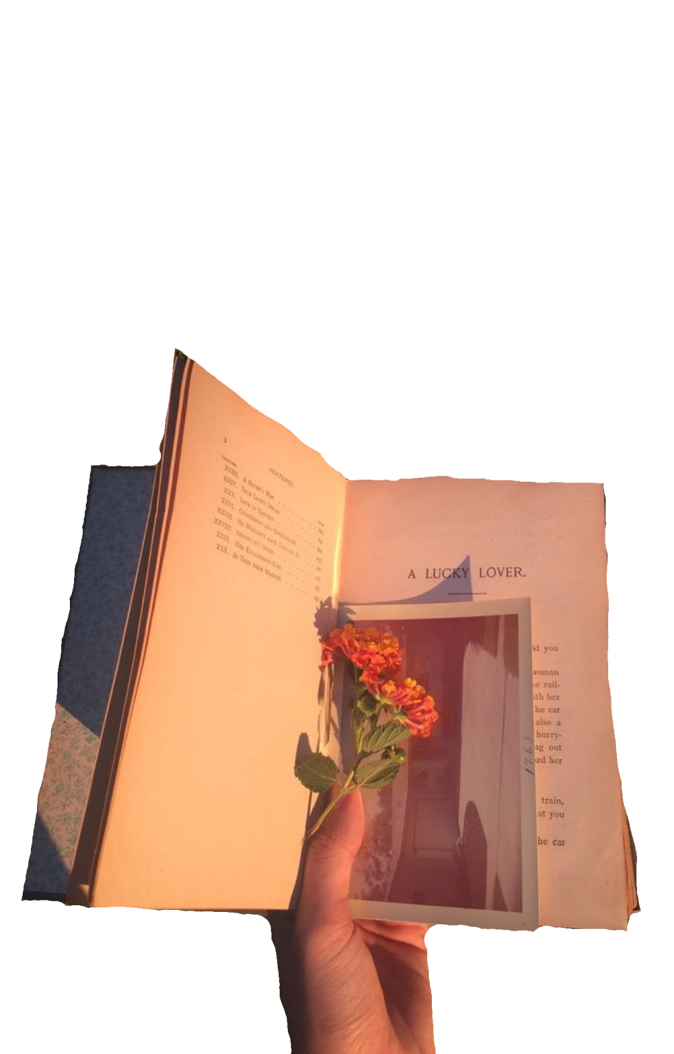 an open book with a flower in it