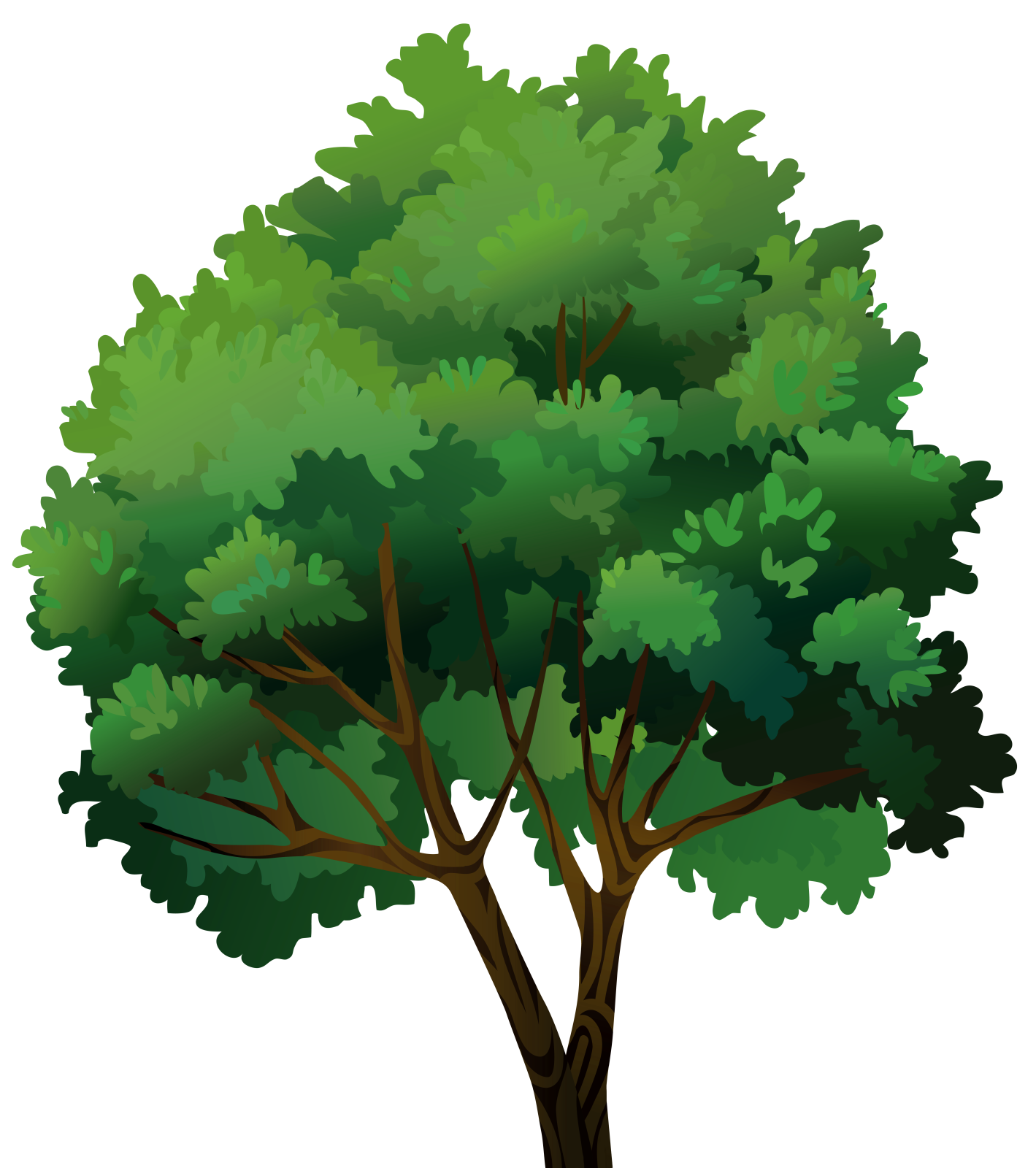 a tree with green leaves on it