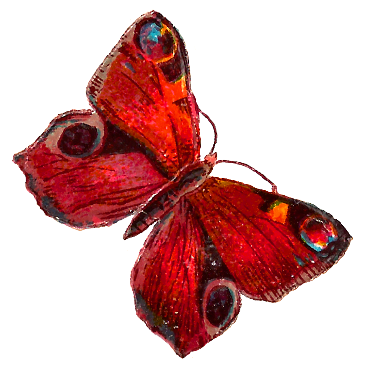 a red butterfly on a white background