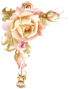 a bouquet of pink roses on a white background