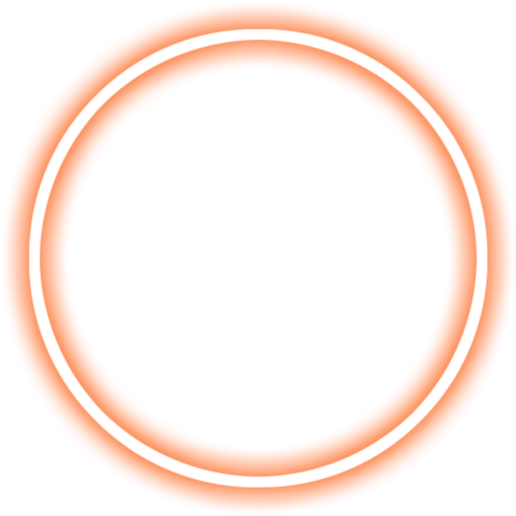 an orange circle on a white background