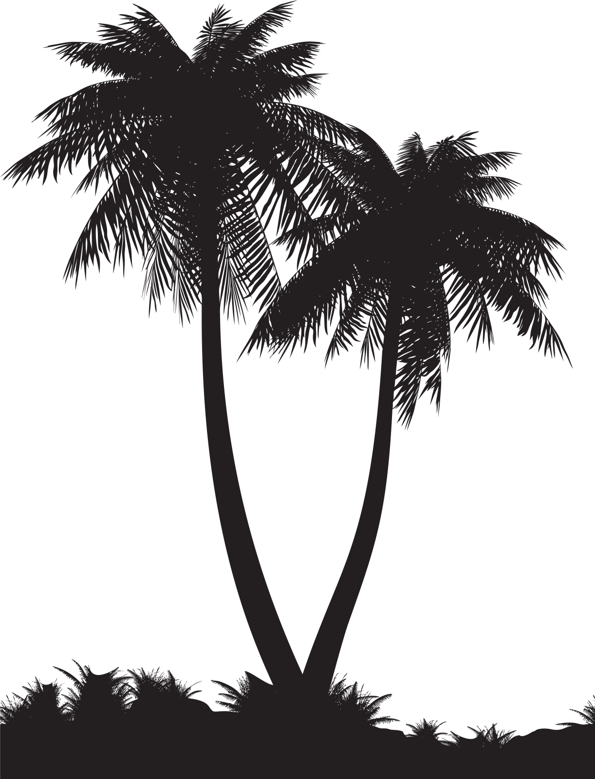two palm trees silhouetted against a white background