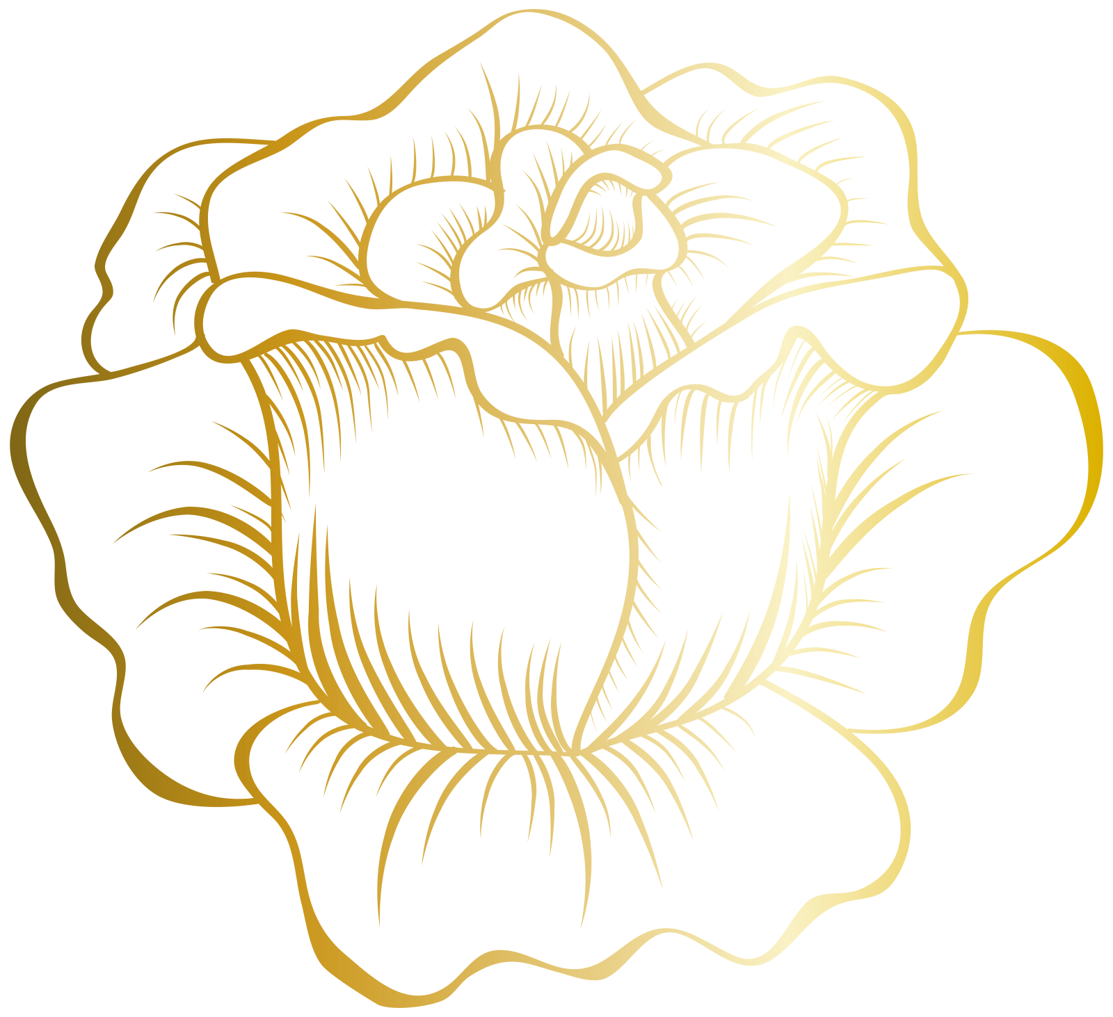 a gold rose on a white background