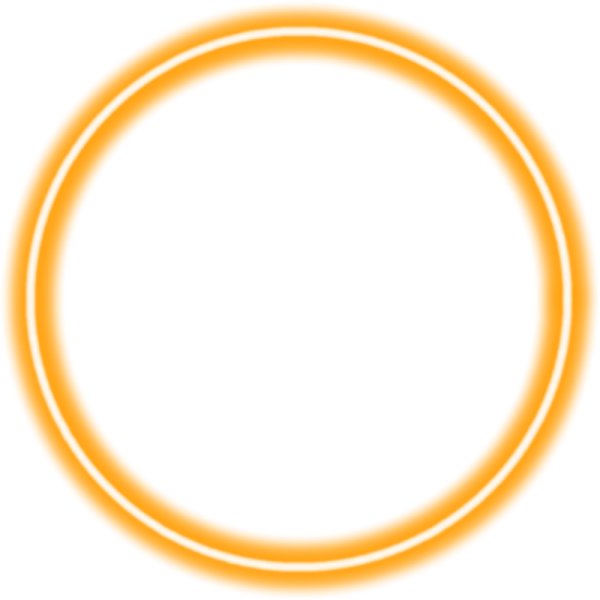 an orange circle with a white background