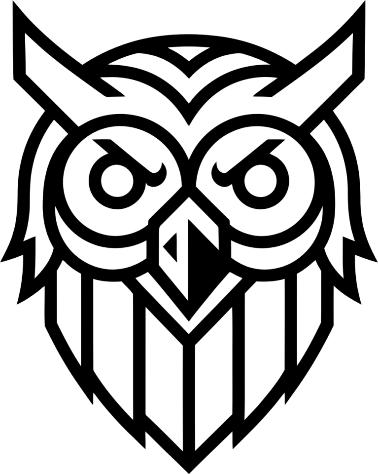 a black and white image of an owl