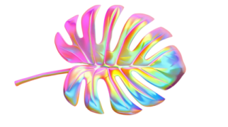a colorful flower on a white background