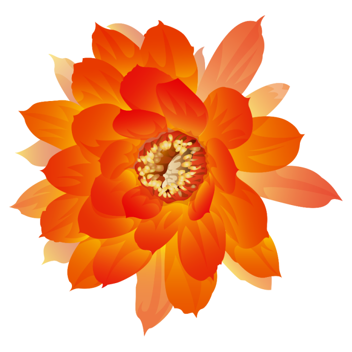 an orange flower with leaves on it