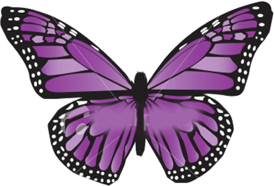a purple butterfly