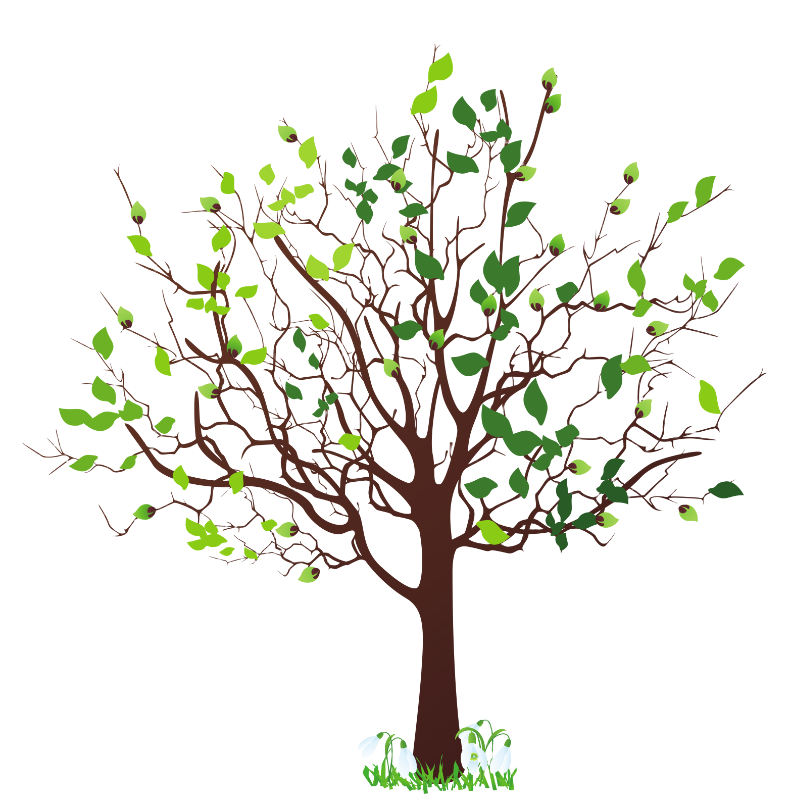 a tree with green leaves on it