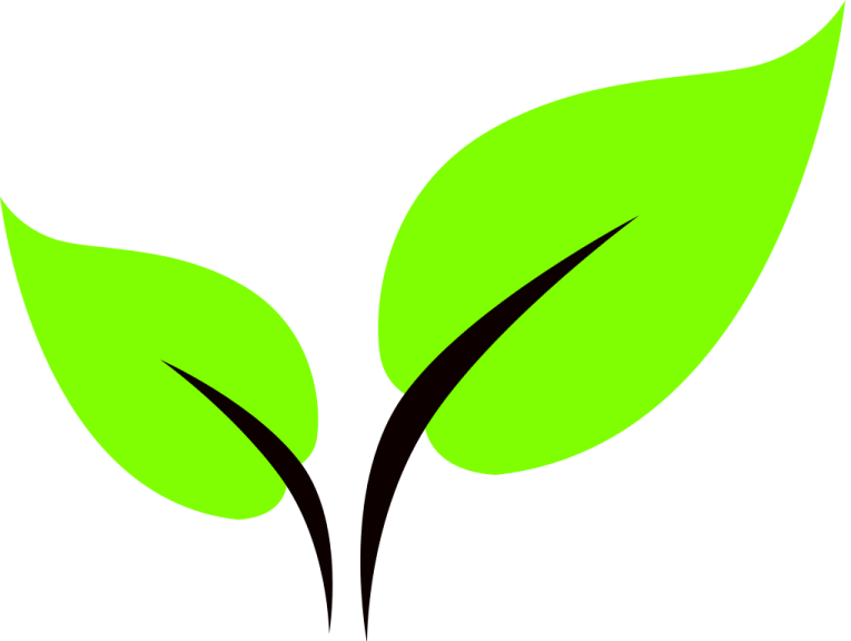 a green leaf logo