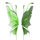 a green butterfly on a white background