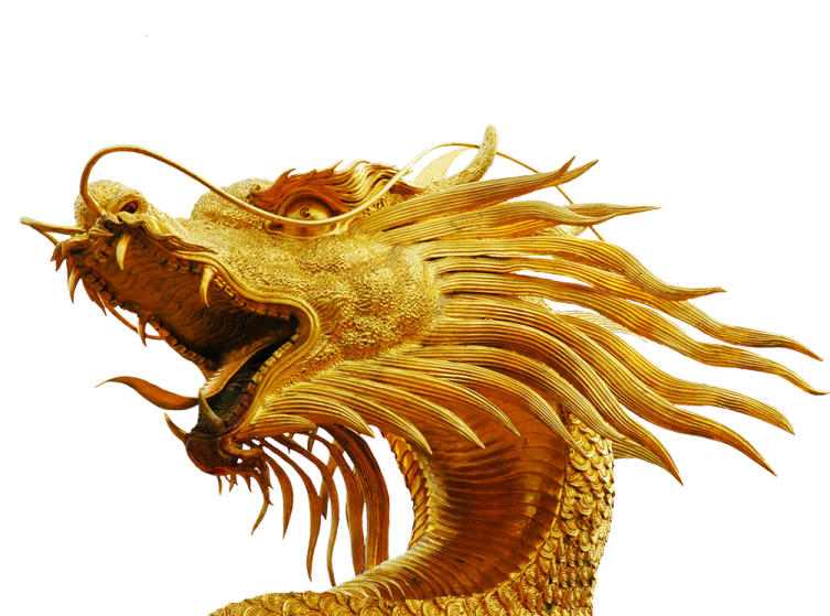 a golden dragon statue on a white background
