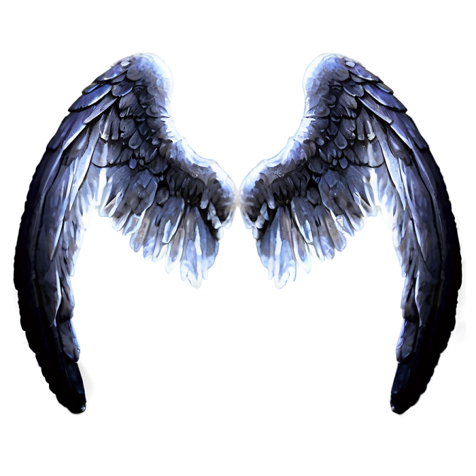 a pair of wings on a white background