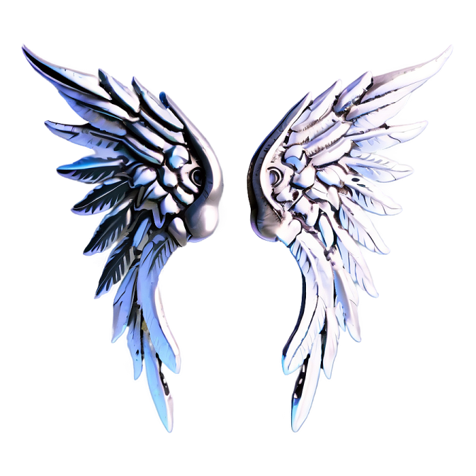 a pair of white and black wings
