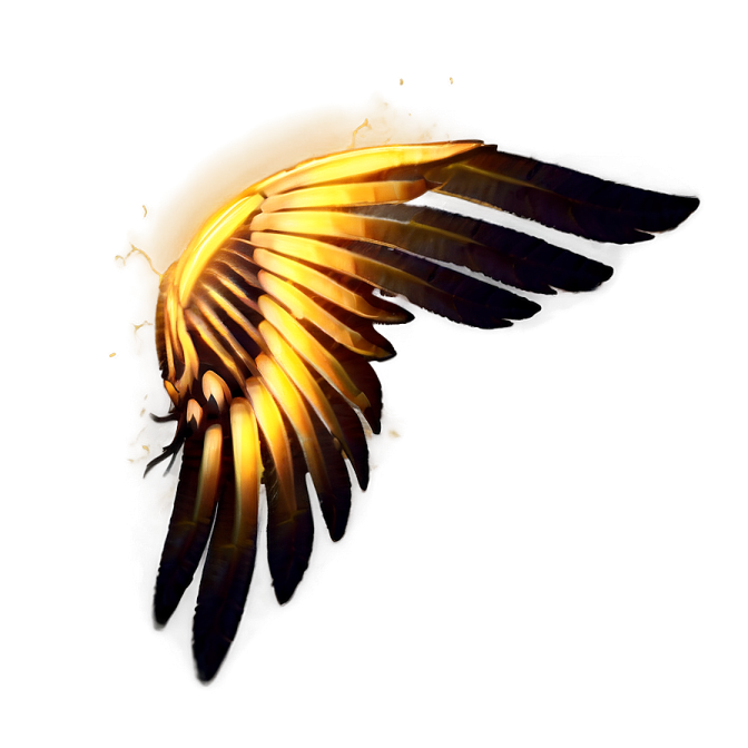 a feather on a white background