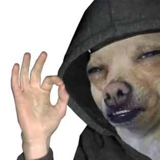 a picture of a dog wearing a hoodie