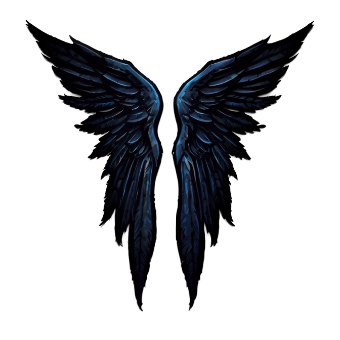 a pair of wings on a white background