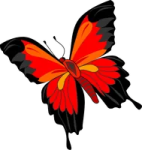 a butterfly with red and black wings