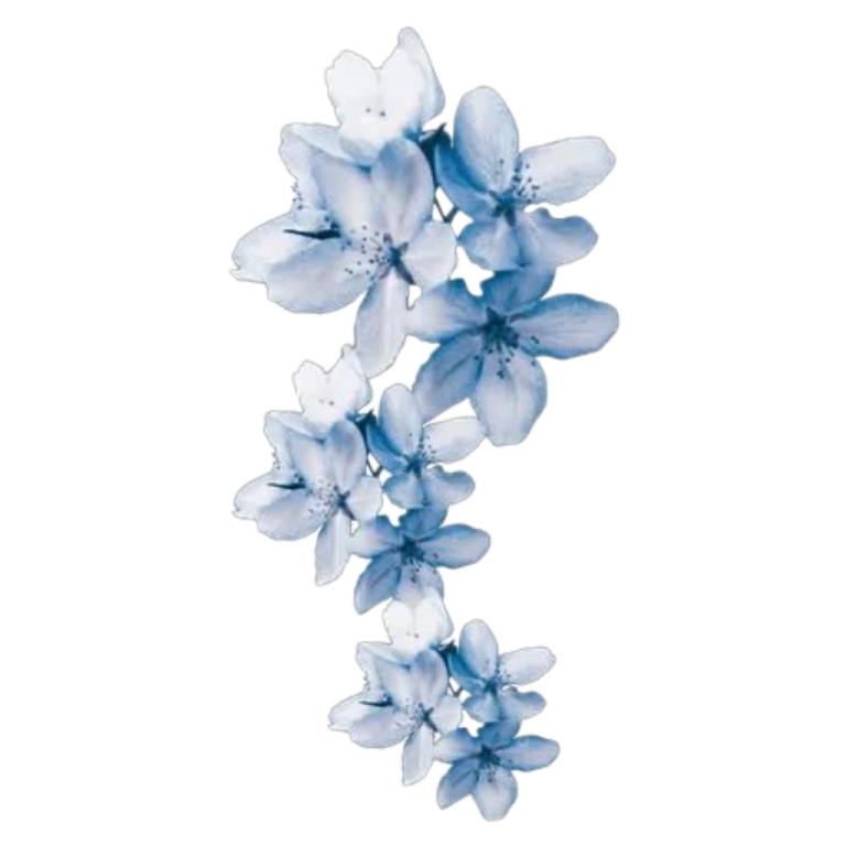 a blue flower on a white background