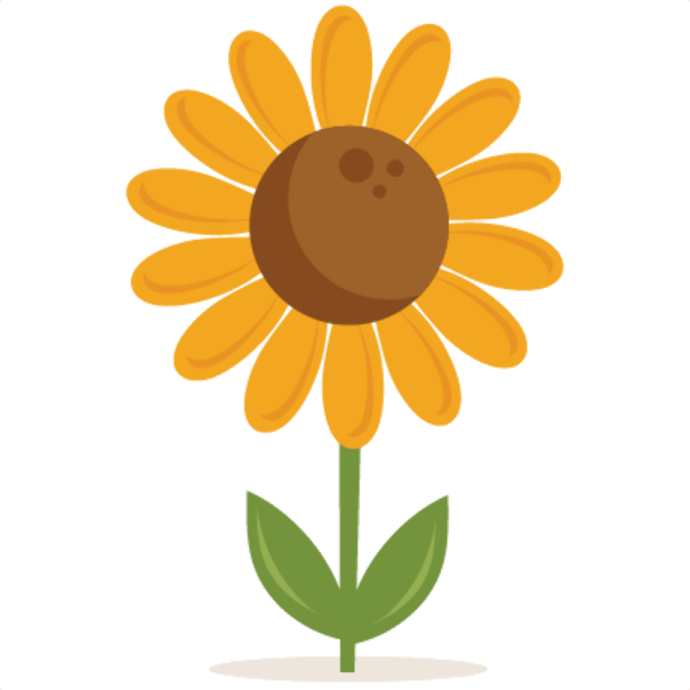 a yellow sunflower with green leaves