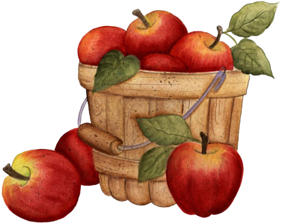 apples in a basket