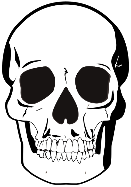 a black and white skull with teeth
