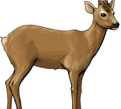 a brown deer standing in front of a white background