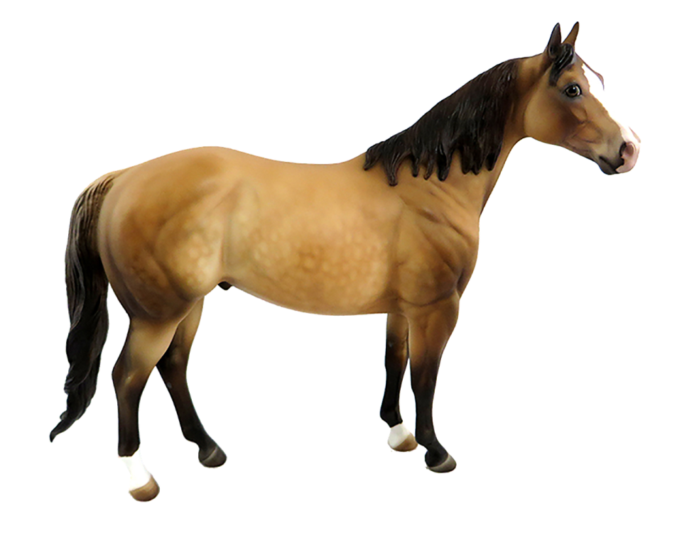 the horse is brown