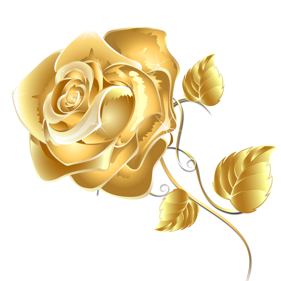 a golden rose on a white background