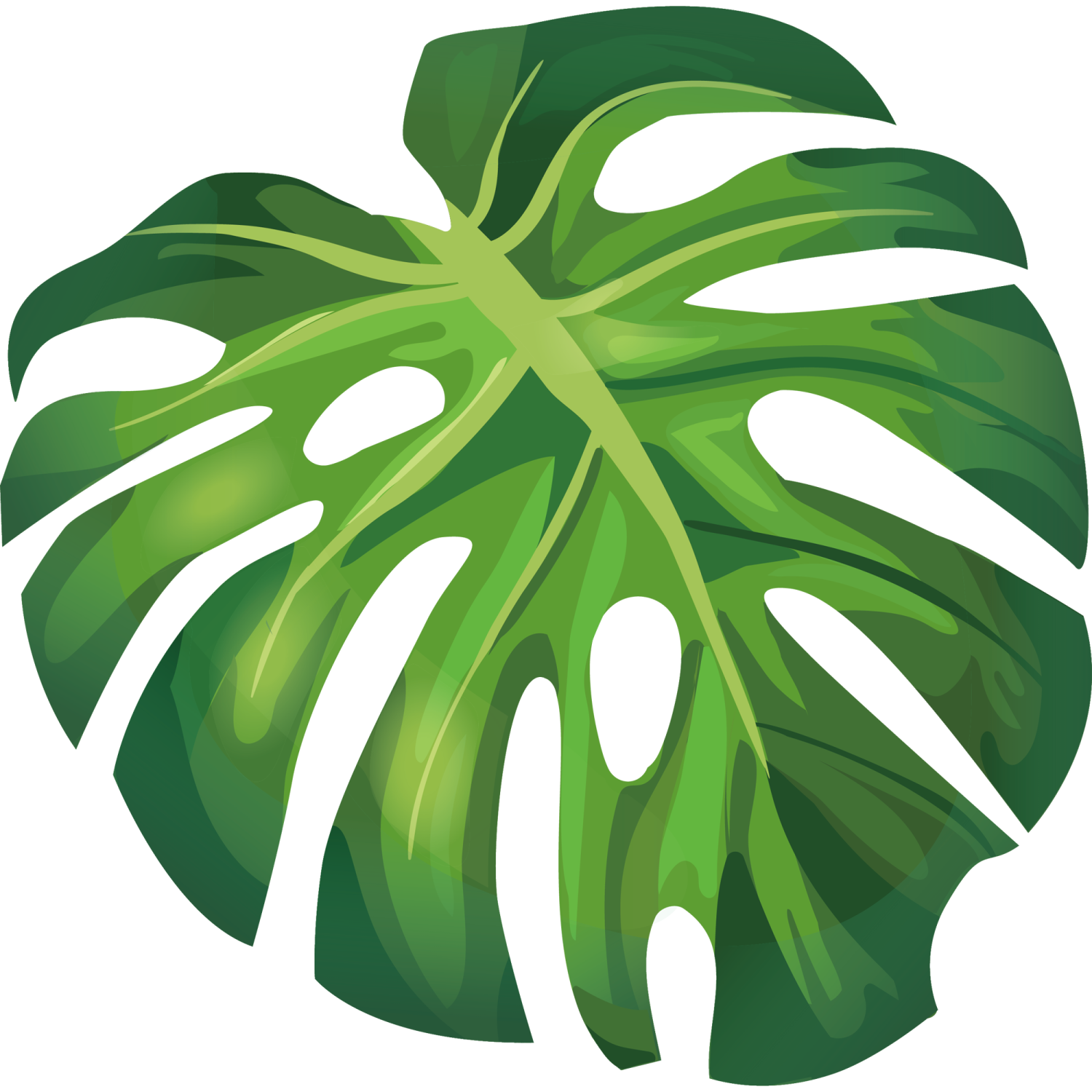 a monster plant with green leaves
